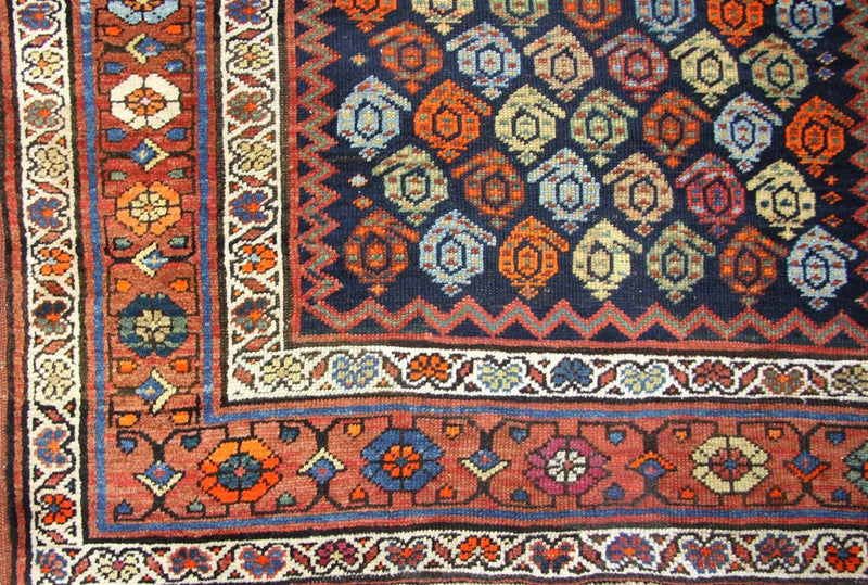 Shirvan Teppe 440x113cm - Orientalsk teppe