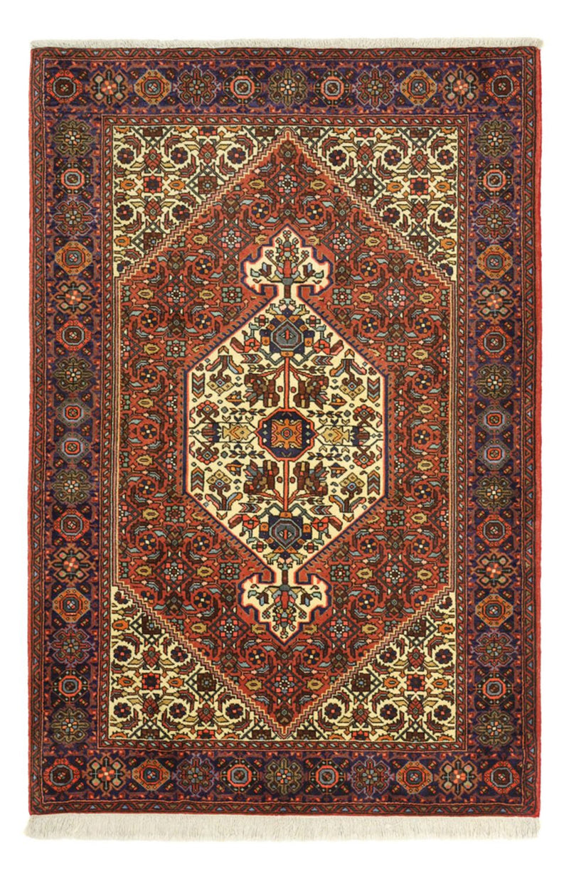 Gholtogh Teppe 152x101cm - Persisk teppe