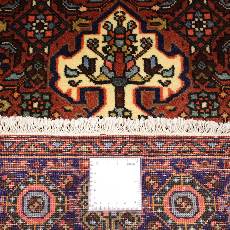 Gholtogh Teppe 152x101cm - Persisk teppe
