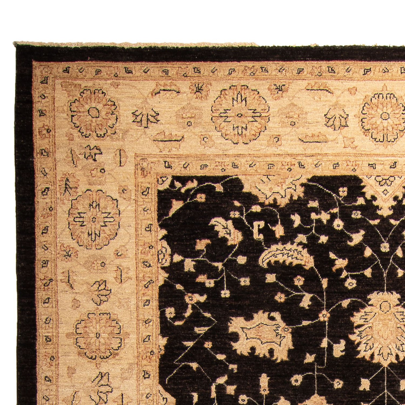 Ziegler Teppe 296x209cm - Orientalsk teppe