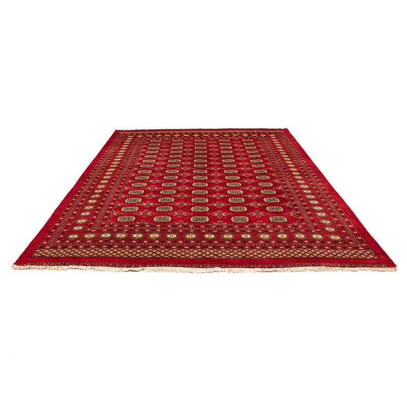 Pakistan teppe 320x248cm - Orientalsk teppe