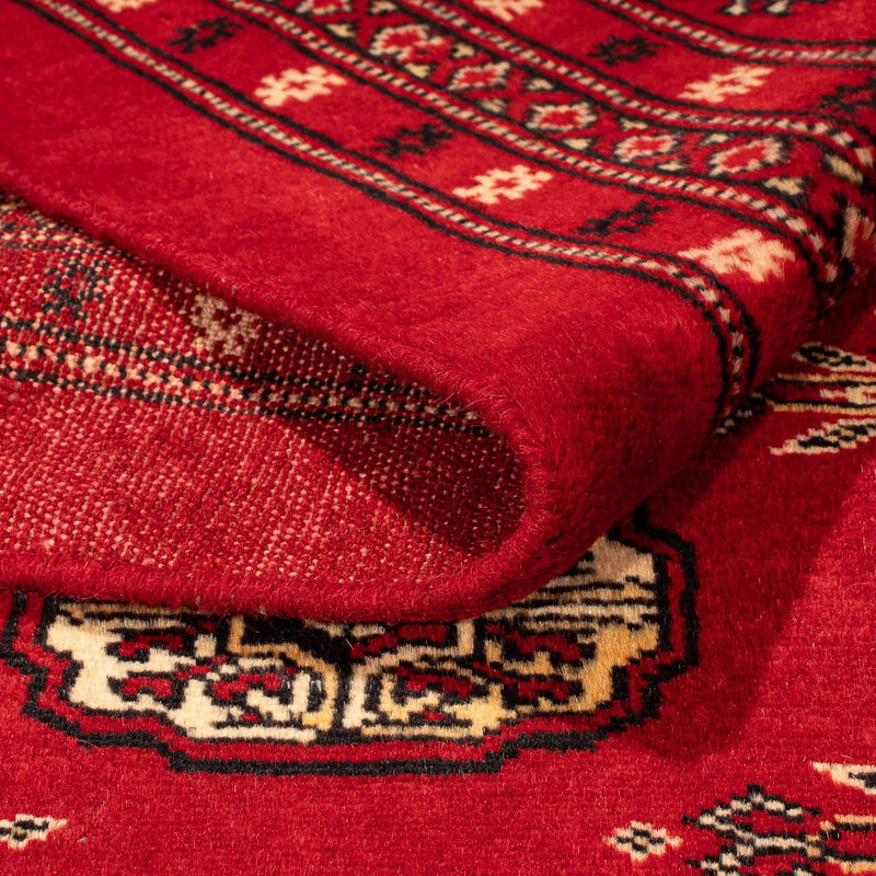 Pakistan teppe 320x248cm - Orientalsk teppe