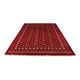 Pakistan teppe 307x208cm - Orientalsk teppe