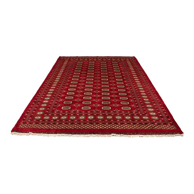 Pakistan teppe 307x208cm - Orientalsk teppe