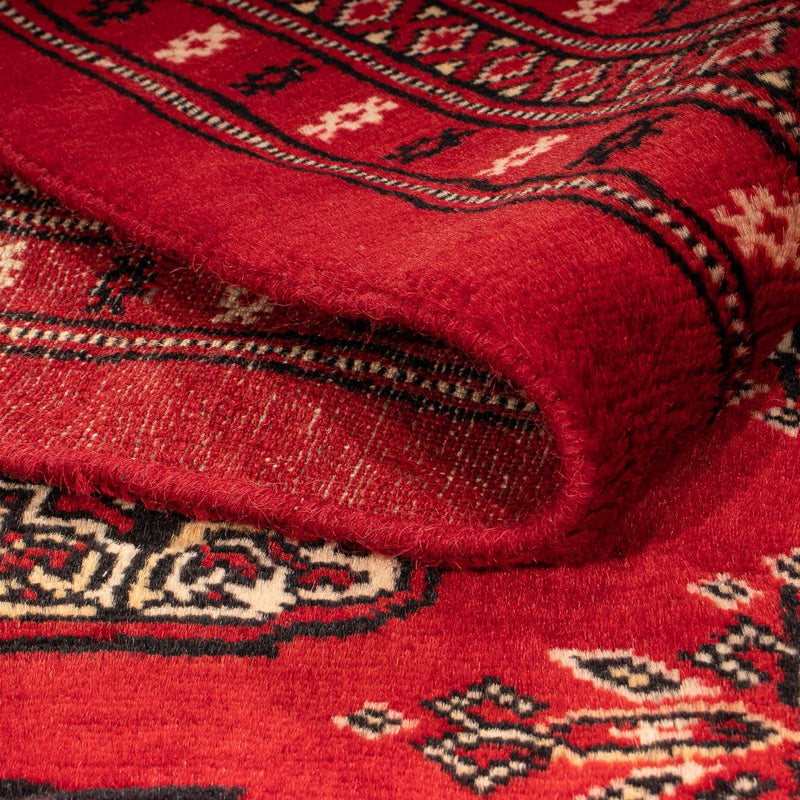 Pakistan teppe 307x208cm - Orientalsk teppe