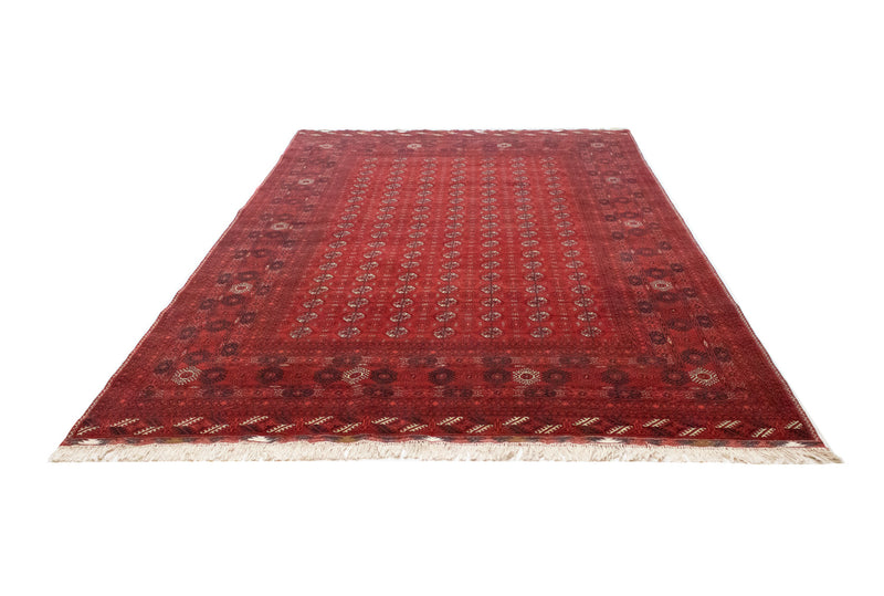 Bukhara Teppe 299x198cm - Orientalsk teppe