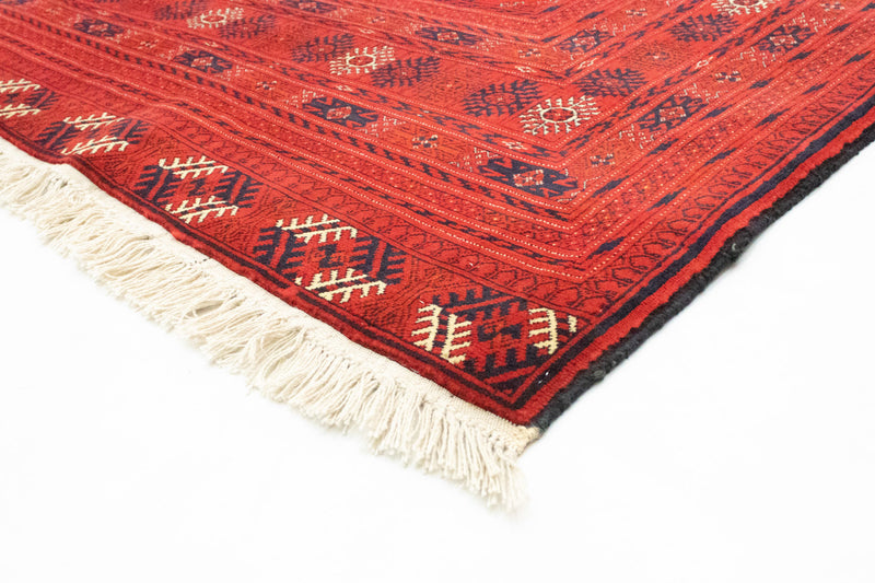 Bukhara Teppe 288x202cm - Orientalsk teppe