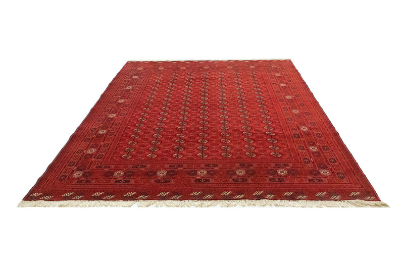Bukhara Teppe 288x202cm - Orientalsk teppe