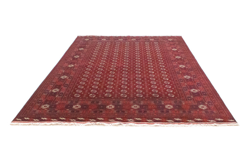 Bukhara Teppe 297x198cm - Orientalsk teppe