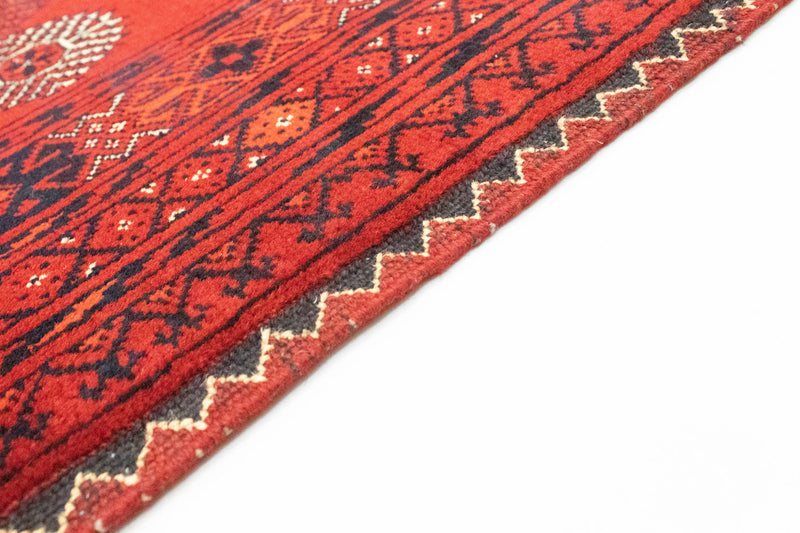 Bukhara Teppe 295x199cm - Orientalsk teppe