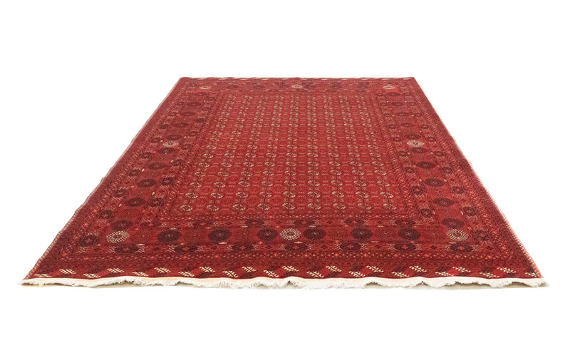 Bukhara Teppe 295x199cm - Orientalsk teppe