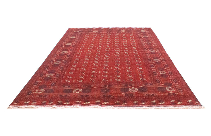 Bukhara Teppe 297x198cm - Orientalsk teppe