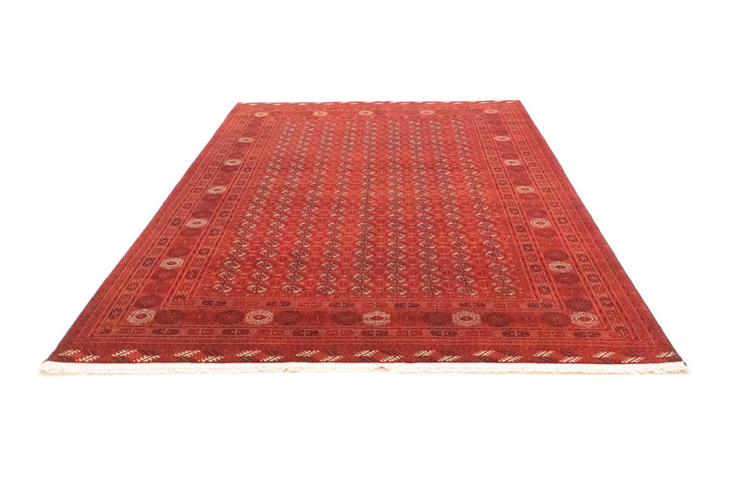 Bukhara Teppe 293x196cm - Orientalsk teppe