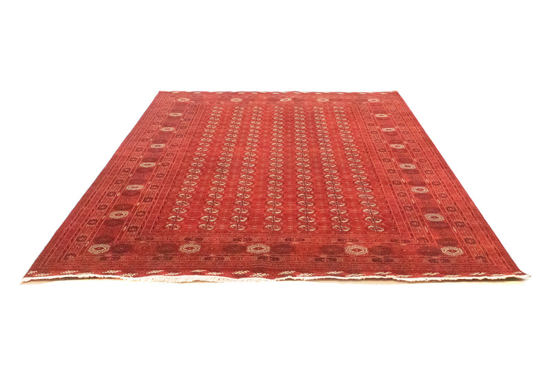 Bukhara Teppe 293x203cm - Orientalsk teppe