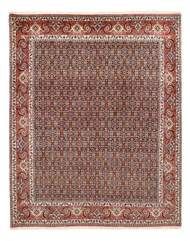 Persisk teppe - Bijar - 264 x 204 cm - rust