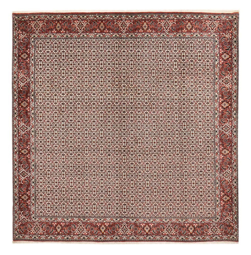 Persisk teppe - Bijar square  - 306 x 304 cm - rust