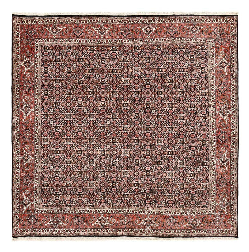 Persisk teppe - Bijar square  - 205 x 205 cm - rust