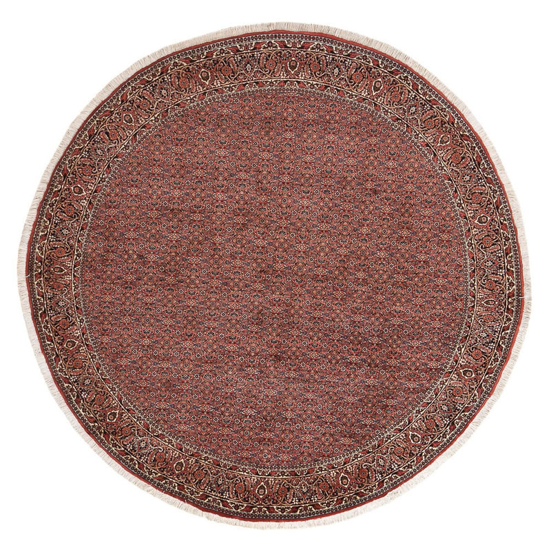 Bidjar Teppe 255x255cm - Persisk teppe