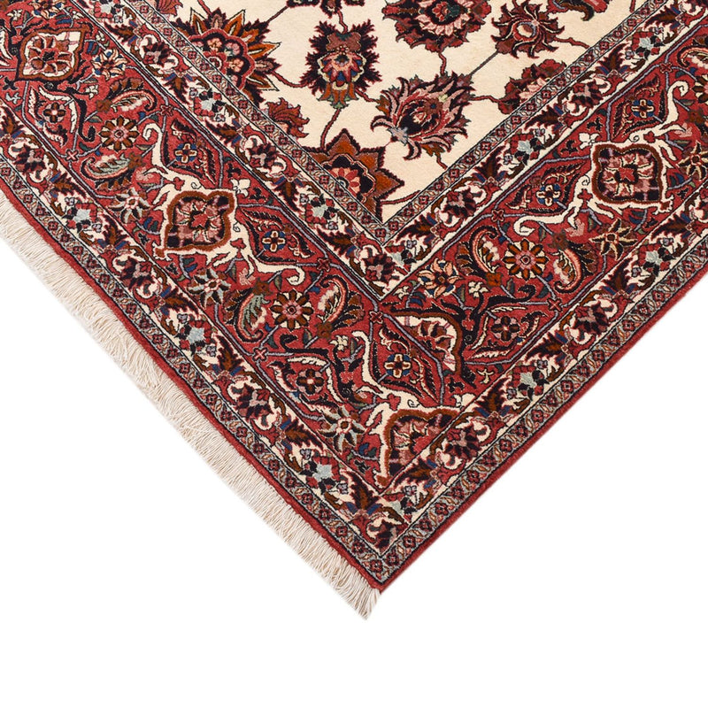 Bidjar - Zanjan Teppe 255x241cm - Persisk teppe