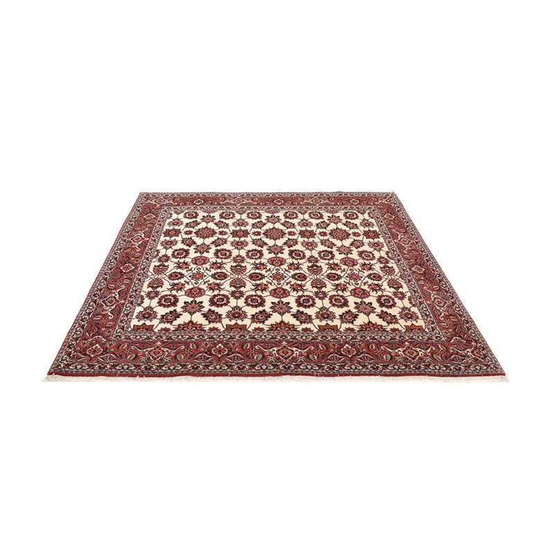 Bidjar - Zanjan Teppe 255x241cm - Persisk teppe