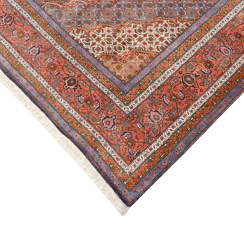 Kashkuli Teppe 304x206cm - Persisk teppe