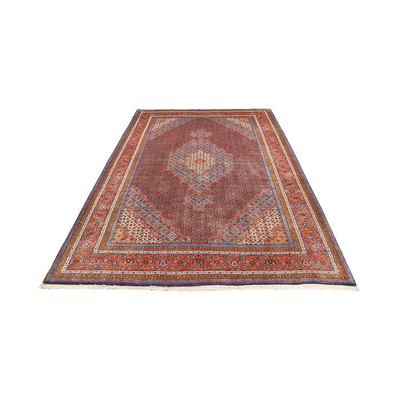 Kashkuli Teppe 304x206cm - Persisk teppe