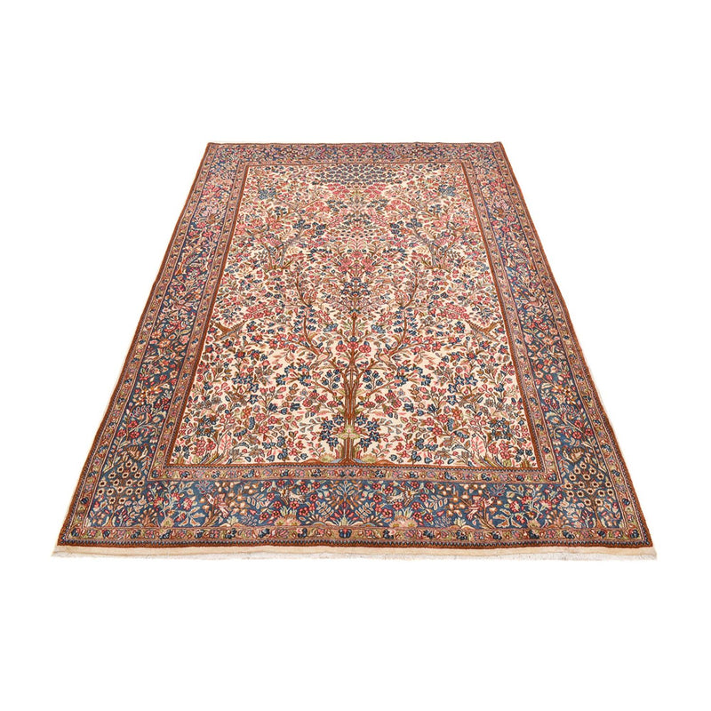 Rafsanjan Teppe 271x182cm - Persisk teppe