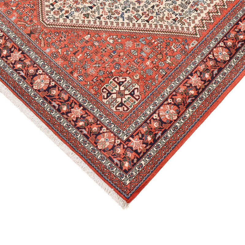 Kashkuli Teppe 248x165cm - Persisk teppe