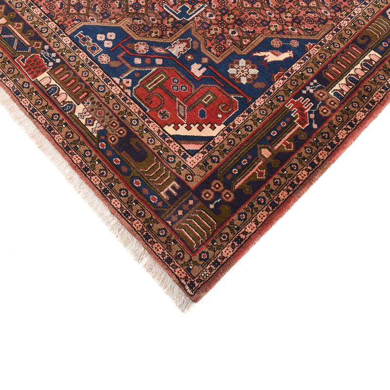 Kolyai Teppe 286x206cm - Persisk teppe