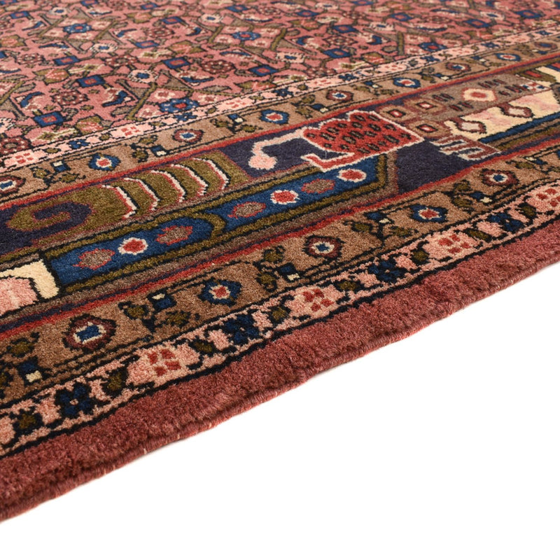 Kolyai Teppe 286x206cm - Persisk teppe