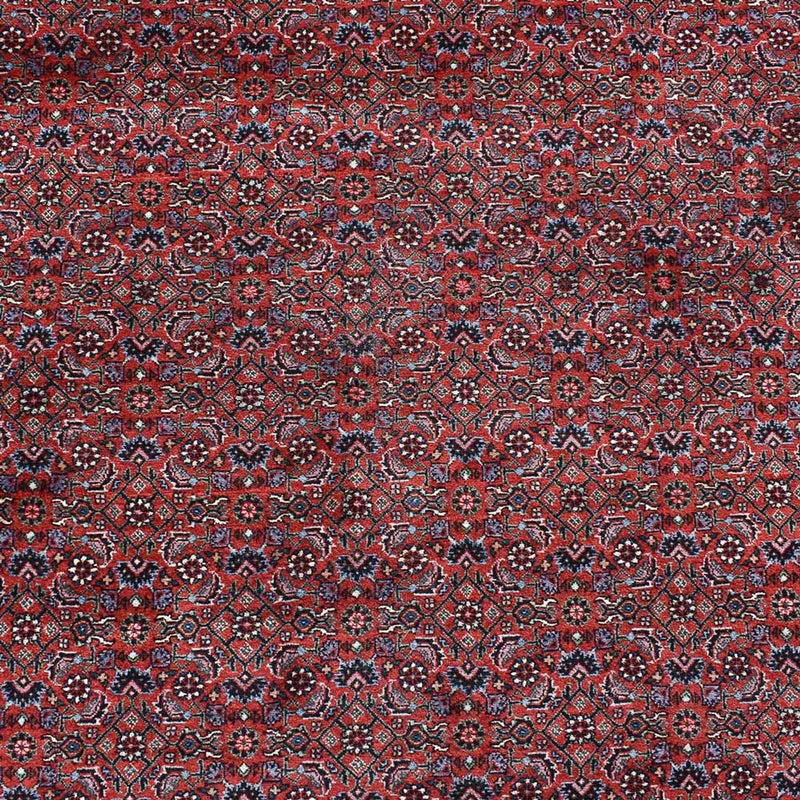 Bidjar Teppe 490x350cm - Persisk teppe