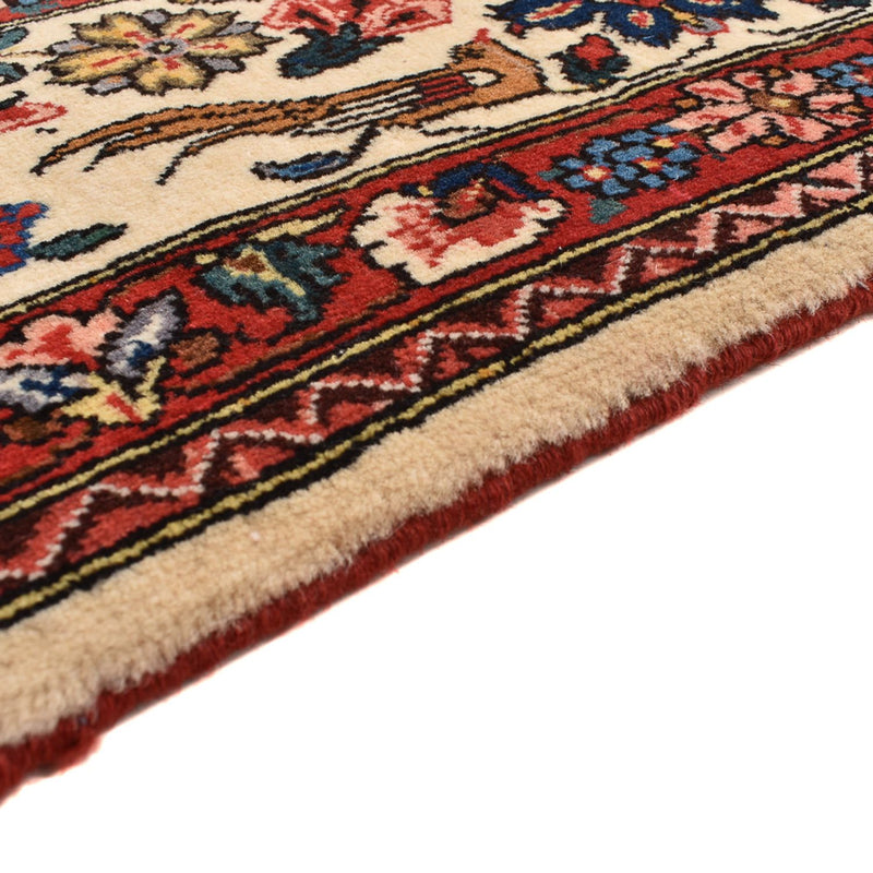 Bakhtiari Teppe 210x211cm - Persisk teppe