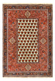 Kashkuli Teppe 172x260cm - Persisk teppe