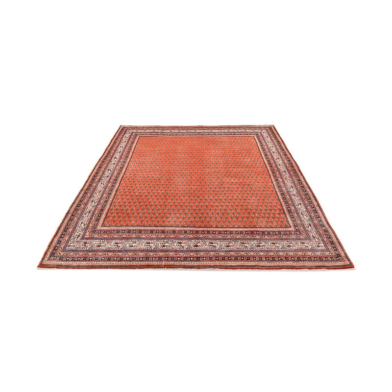 Sarouk Teppe 228x261cm - Persisk teppe