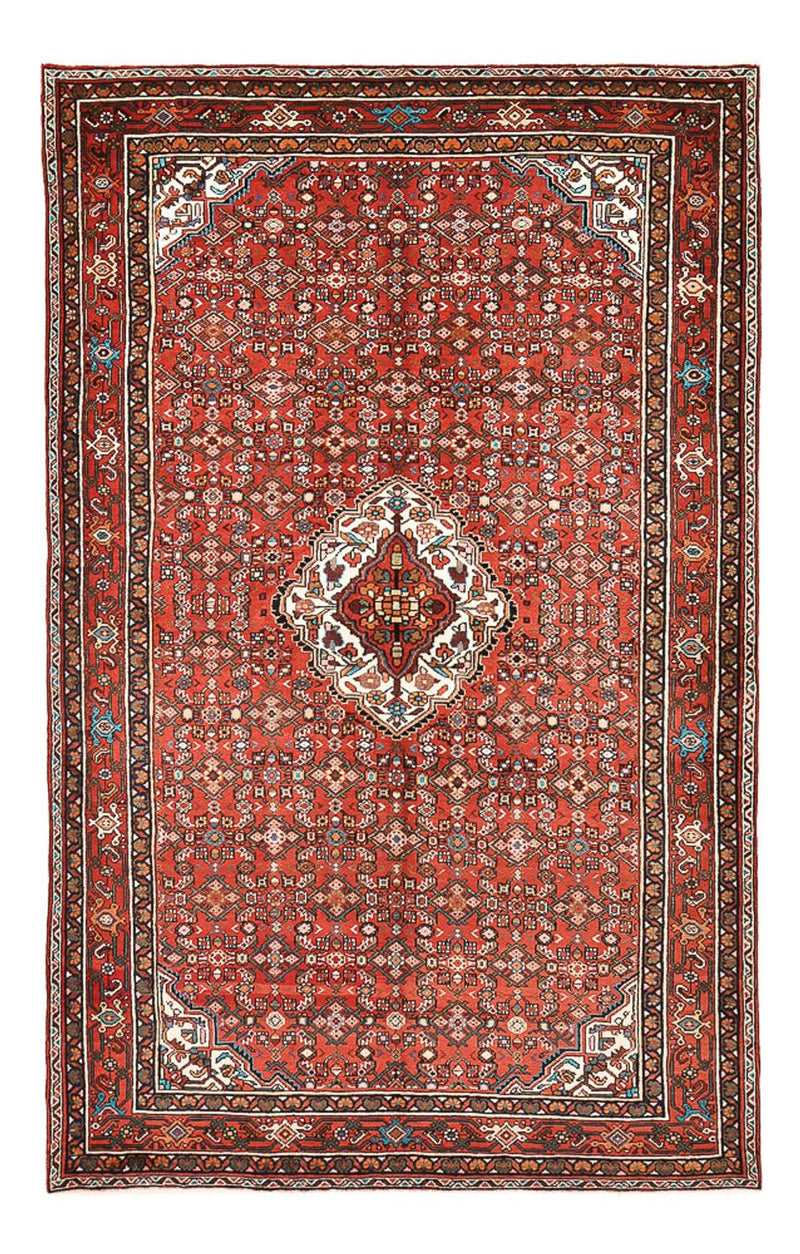 Hosseinabad Teppe 318x200cm - Persisk teppe