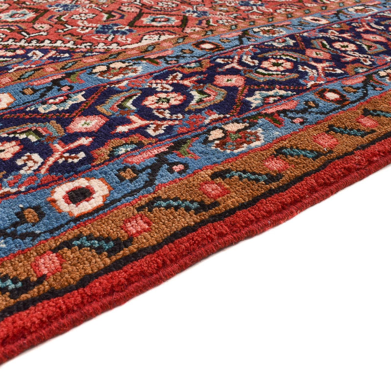 Kashan Teppe 385x283cm - Persisk teppe