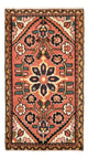 Hamadan Teppe 100x54cm - Persisk teppe