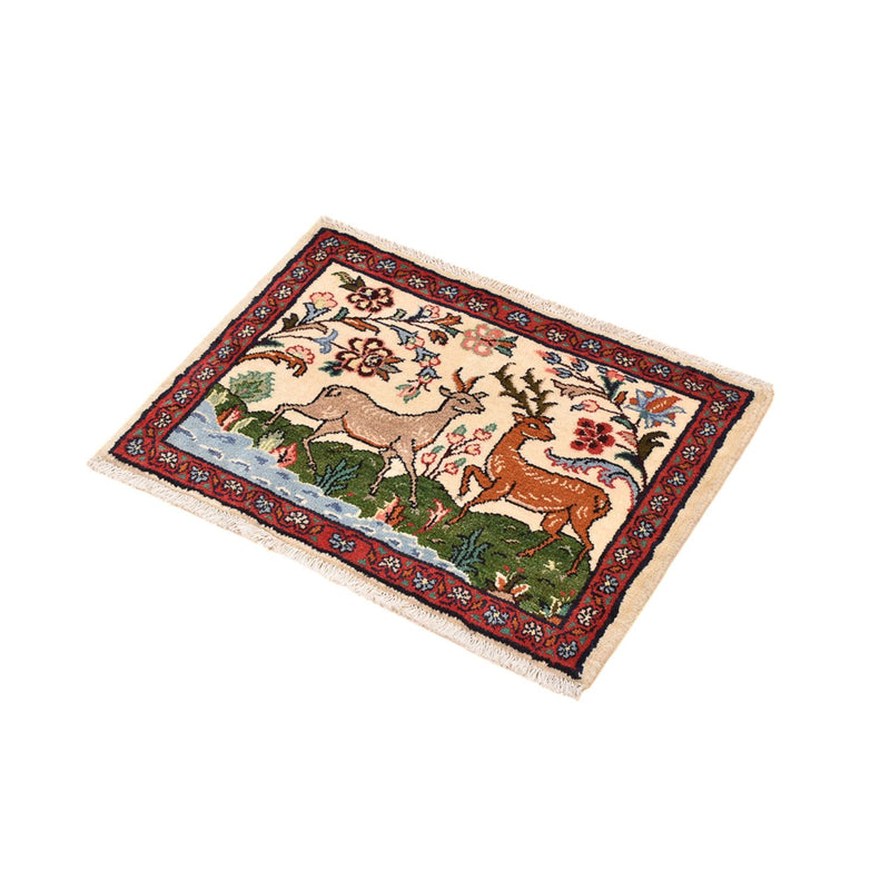 Hamadan Teppe 65x45cm - Persisk teppe