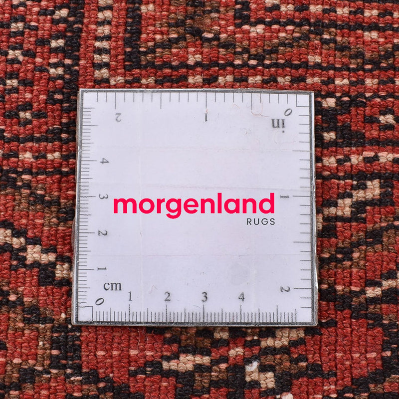 Turkaman Teppich - 289 x 191 cm - rot