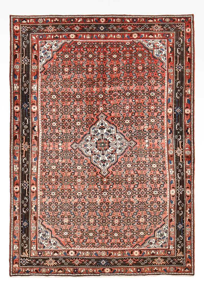 Hosseinabad Teppe 305x212cm - Persisk teppe