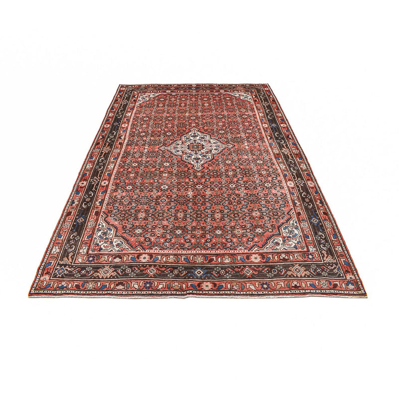 Hosseinabad Teppe 305x212cm - Persisk teppe