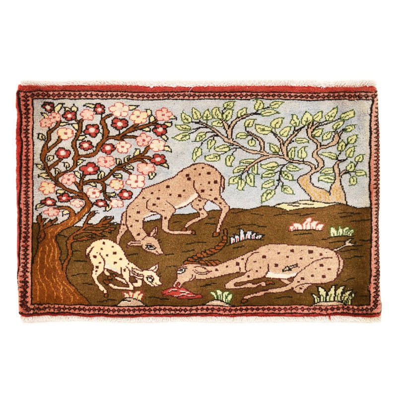 Hamadan Teppe 67x45cm - Persisk teppe