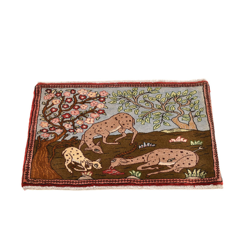 Hamadan Teppe 67x45cm - Persisk teppe