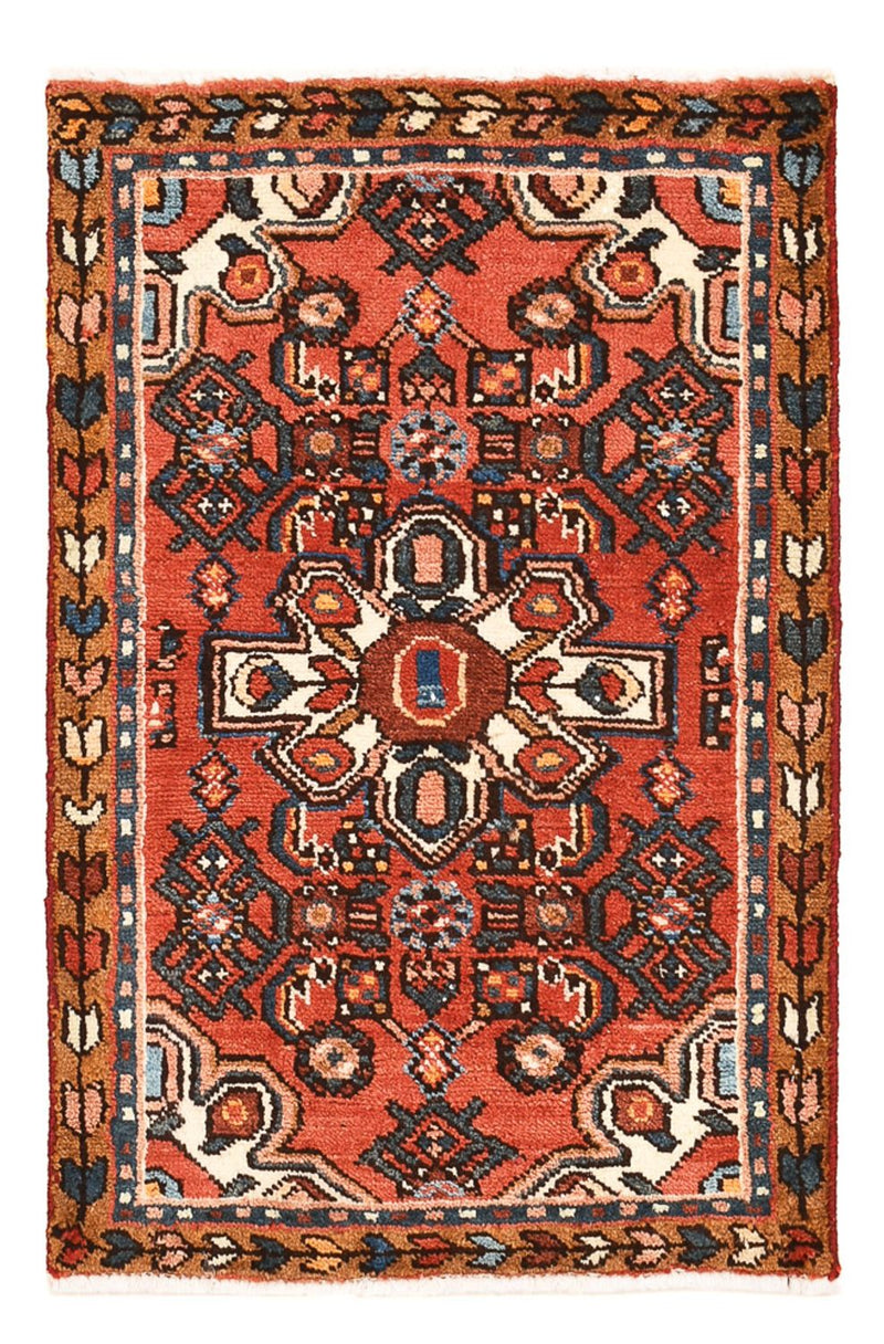 Hamadan Teppe 75x50cm - Persisk teppe