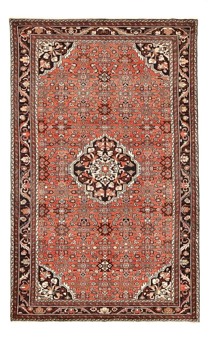 Hosseinabad Teppe 312x189cm - Persisk teppe
