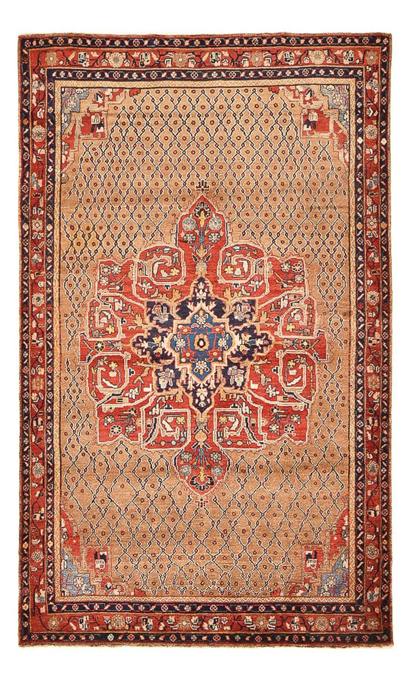 Kolyai Teppe 250x150cm - Persisk teppe