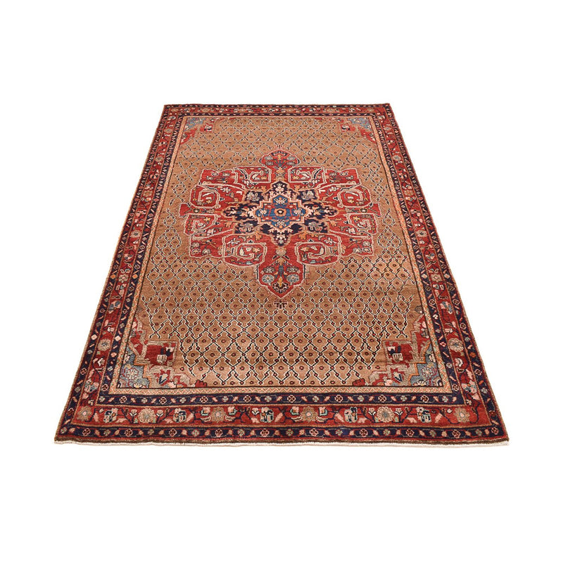 Kolyai Teppe 250x150cm - Persisk teppe