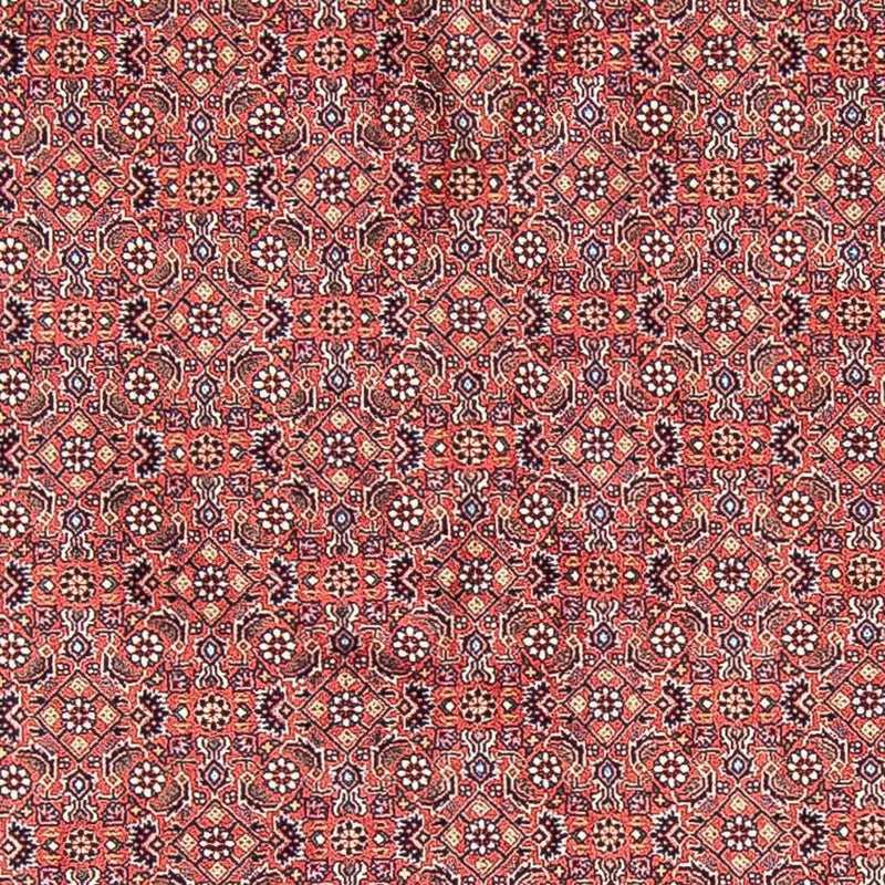 Bidjar Teppe 305x305cm - Persisk teppe