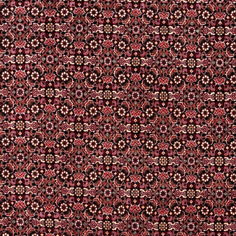 Bidjar - Takab Teppe 346x250cm - Persisk teppe