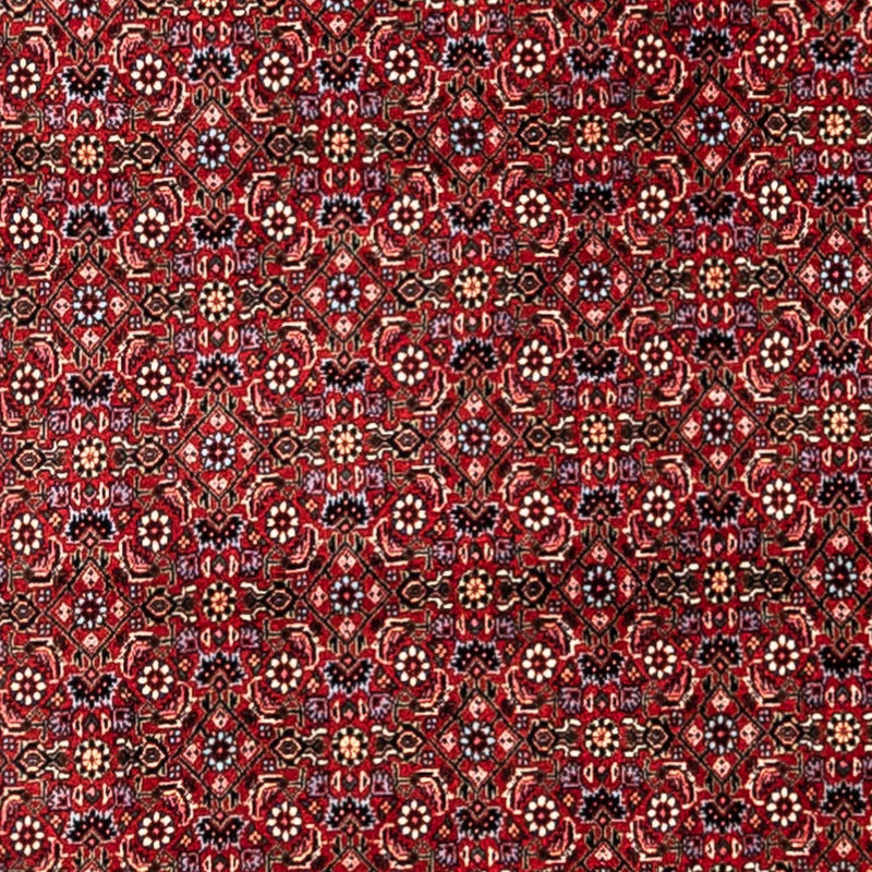 Bidjar - Takab Teppe 331x254cm - Persisk teppe